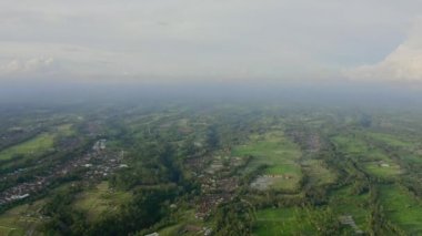 Ubud bölgesindeki pirinç terasları ve palmiyeler, Bali, Endonezya. Güzel panoramik hava görüntüsü.