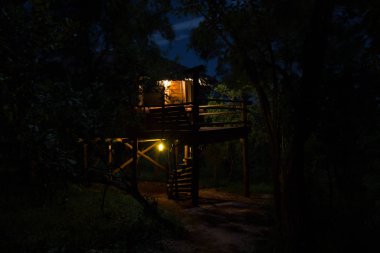 Ağaç evi gece
