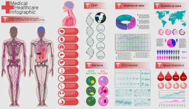  Rgbmedical Infographic ayarlayın. İnsan anatomisi. DNA