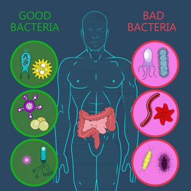 Intestinal flora, Set of good and bad bacteria clipart