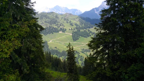 Alpin yüksek dağlık peyzaj, Avusturya
