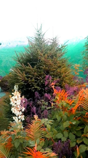 beautiful corner with flowers and spruce on a background of mountains