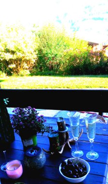 iki bardak mum şarabı ve olgun kirazlar bir tabakta meyve tabağında ve bir saksıda çiçek doğanın arka planında bir masada