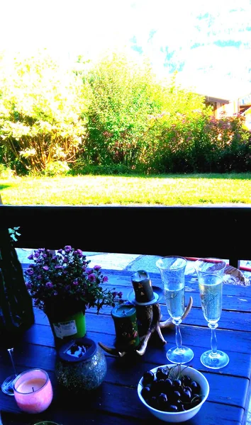 iki bardak mum şarabı ve olgun kirazlar bir tabakta meyve tabağında ve bir saksıda çiçek doğanın arka planında bir masada