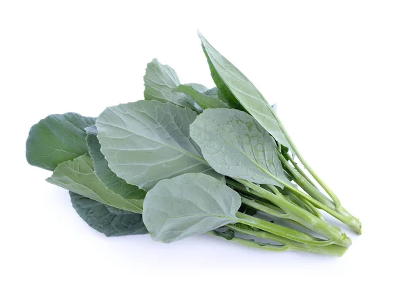 Chinese broccoli geïsoleerd op witte achtergrond — Stockfoto