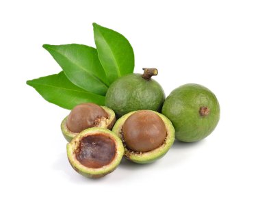 Beyaz arka planda Macadamia fındıkları