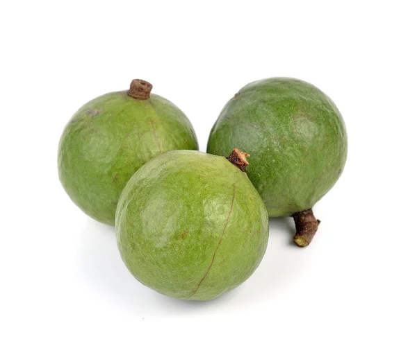Kacang macadamia pada latar belakang putih — Stok Foto