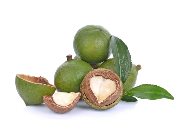 Nueces de macadamia sobre fondo blanco — Foto de Stock