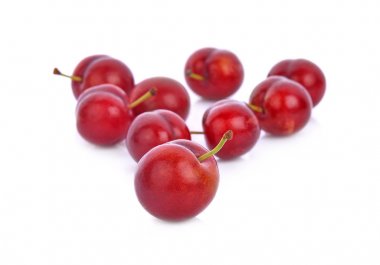 Beyaz arkaplanda erik izole edildi