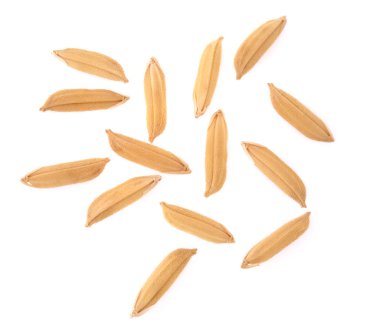 Beyaz arkaplanda izole edilmiş pirinç taneleri