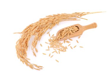 Beyaz arkaplanda izole edilmiş pirinç taneleri