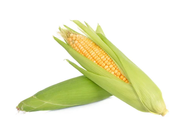 corn isolated on white background.