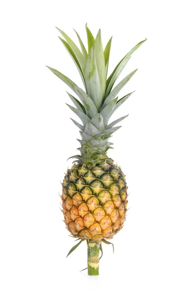 Mogen ananas isolerad på vit bakgrund — Stockfoto