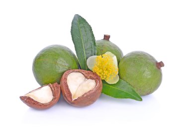 Beyaz arka planda Macadamia fındıkları