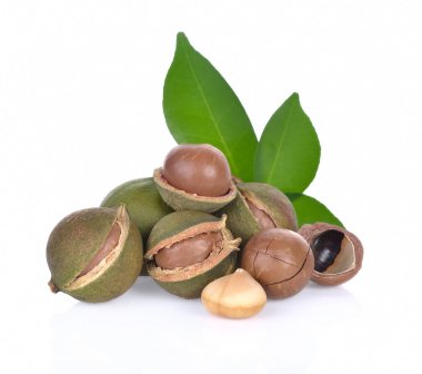 Beyaz arka planda Macadamia fındıkları
