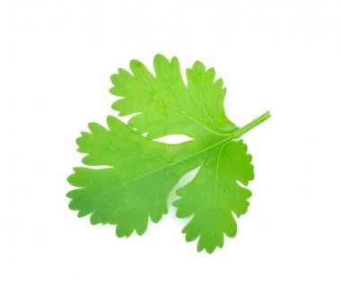 Maydanoz beyaz arkaplanda izole.