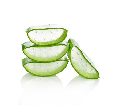 aloe vera taze yaprak. Beyaz arka plan üzerinde izole