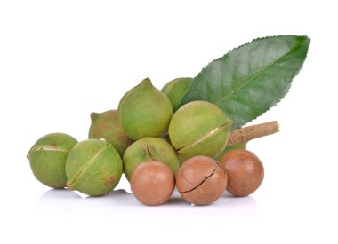 Beyaz arka planda Macadamia fındıkları