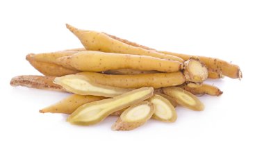 Parmak kökü, Kaempfer, Boesenbergia beyaz arkaplanda