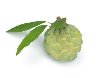 Muhallebi beyaz arka plan üzerinde annona izole elma