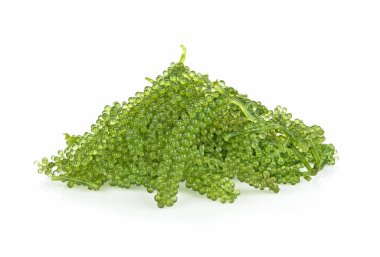 Beyaz sırt grubunda deniz yosunu (yeşil havyar).