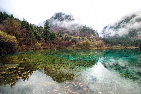 湖水笼罩在薄雾中 — 图库照片