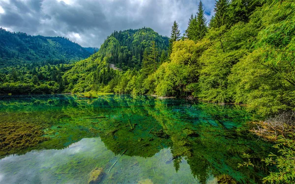 Lago Pie Montaña — Foto de Stock