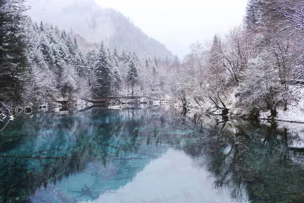 Lago Bosque — Foto de Stock