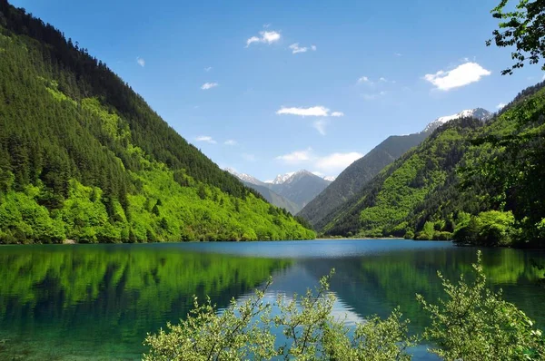 Lago Bosque — Foto de Stock