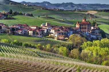 Langhe - Barolo - Unesco Dünya Mirası - Barolo eşsesli şarap alanının ortasına üzüm bağları arasında Falletti kale ile. 
