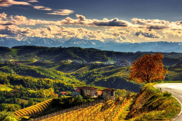 Fény Langhe Napfény Felhívja Élek Lábánál Langhe Diano Alba Serralunga — Stock Fotó