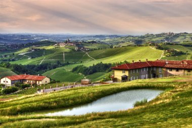 The hills and vineyards of the Langhe.- A wide view of the hills of the Langhe cultivated with vineyards and dotted with farms and wineries around the village of Serralunga dAlba, from the zone of Monforte d'Alba. clipart