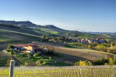 Görünümü La Morra ve Barolo. -Tepeler ve üzüm bağları, Barolo Langhe ile şehir La Morra, arka ve sol üst Della Volta kalede geniş görünüm.