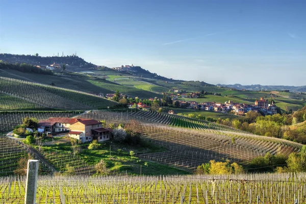 Vista Barolo Morra Uma Vista Ampla Das Colinas Vinhas Langhe — Fotografia de Stock