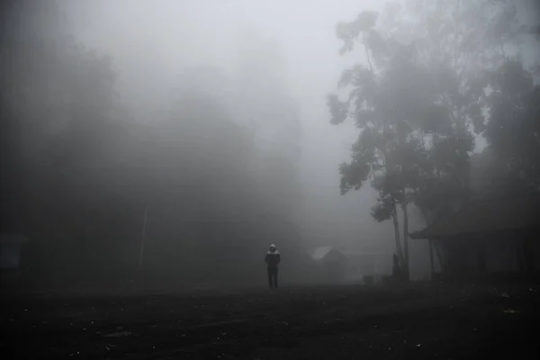 The man in the fog