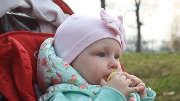 Seorang gadis kecil yang bijaksana sedang duduk di kereta bayi dan menyentuh puting susu dengan tangannya — Stok Video
