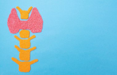 Mavi arka planda plastik tiroid bezi. Tiroid hastalığı konsepti, nodüler guatr, kanser. Hiperfonksiyon Tedavisi, boşluğu kopyala