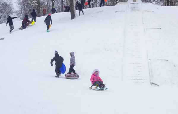 Muitas pessoas crianças e adultos montam um trenó no inverno na neve. BOBRUISK, BELARUS - 03.01.19 — Fotografia de Stock