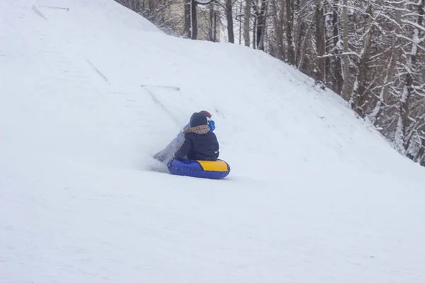 Muitas pessoas crianças e adultos montam um trenó no inverno na neve. BOBRUISK, BELARUS - 03.01.19 — Fotografia de Stock