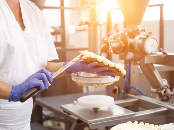 The pastry chef makes cake using modern equipment for the production of cakes. Line for spreading cream on cake, biscuit