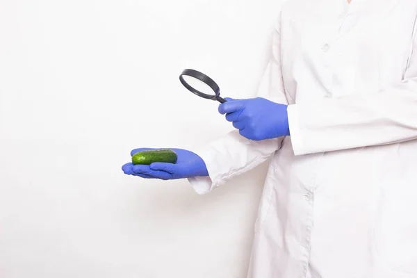 The doctor looks at the cucumber through a magnifying glass. Penis size concept for men, penis enlargement, copy space — 스톡 사진