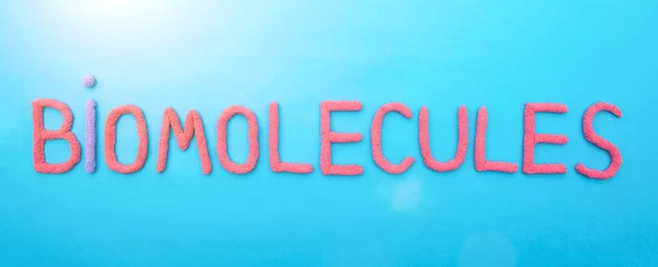 Biomolecola con iscrizione in lettere rosse su sfondo blu. Il concetto della sezione di scienza in biologia — Foto Stock