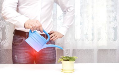 A male office worker is watering a flower from a watering can in the office, a red spot in the groin. The concept of prostate diseases in men, prostate cancer, prostatitis, urinary incontinence, copy 