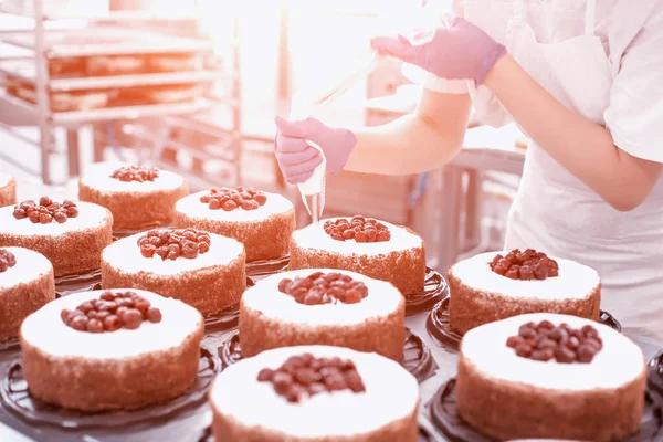 Pastry chef girl makes a cake from fresh biscuit berries and cream. Mass production of cakes and sweets, confectionery factory, professional