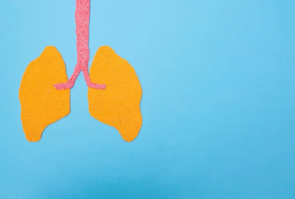 Pulmões Humanos Num Fundo Azul Conceito Transplante Pulmão Humano Doenças — Fotografia de Stock