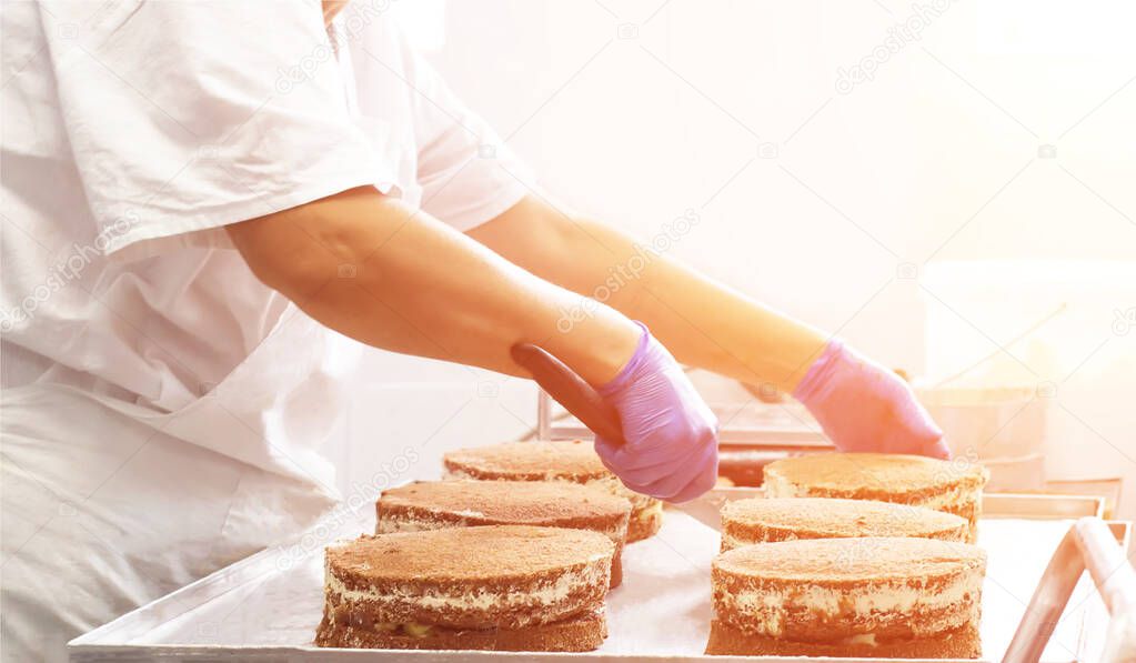 Making sponge cakes with cream at a confectionery factory. Cook decorates cake with cream, sweet dessert