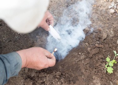 Solucan delikleriyle, sis bombasıyla bir yazlıktan bir köstebeği atmak ya da tüttürmek