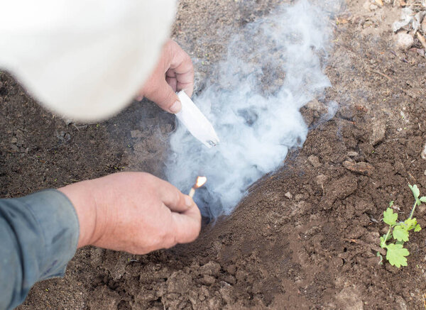 Expelling or smoking a mole from a summer cottage with a smoke bomb, wormholes