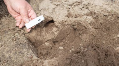 Solucan delikleriyle, sis bombasıyla bir yazlıktan bir köstebeği atmak ya da tüttürmek
