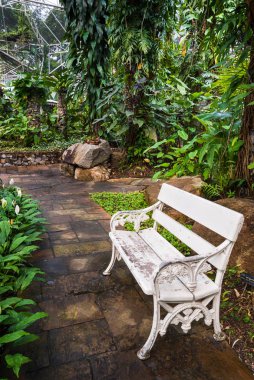 Eski bir beyaz tezgah bir parkta